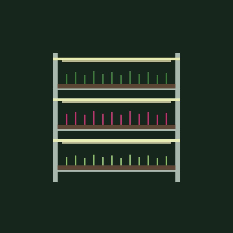 Home Grow Rack