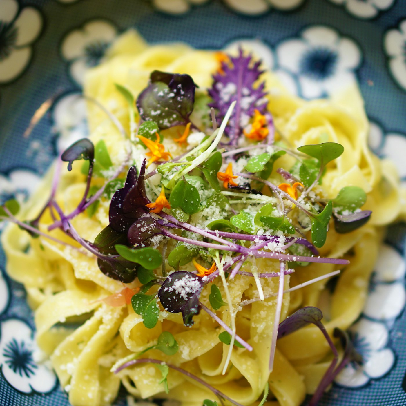 Pasta finished with microgreens