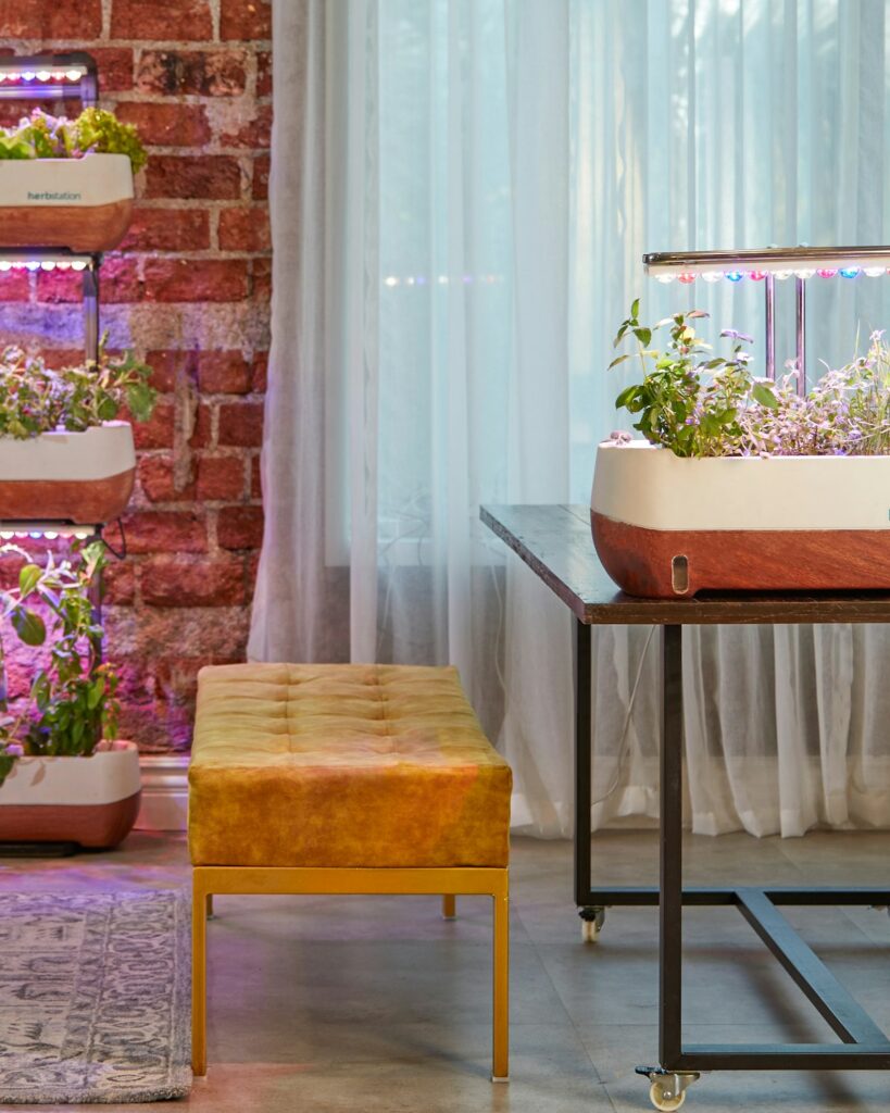 12-Pod Smart Garden with Display