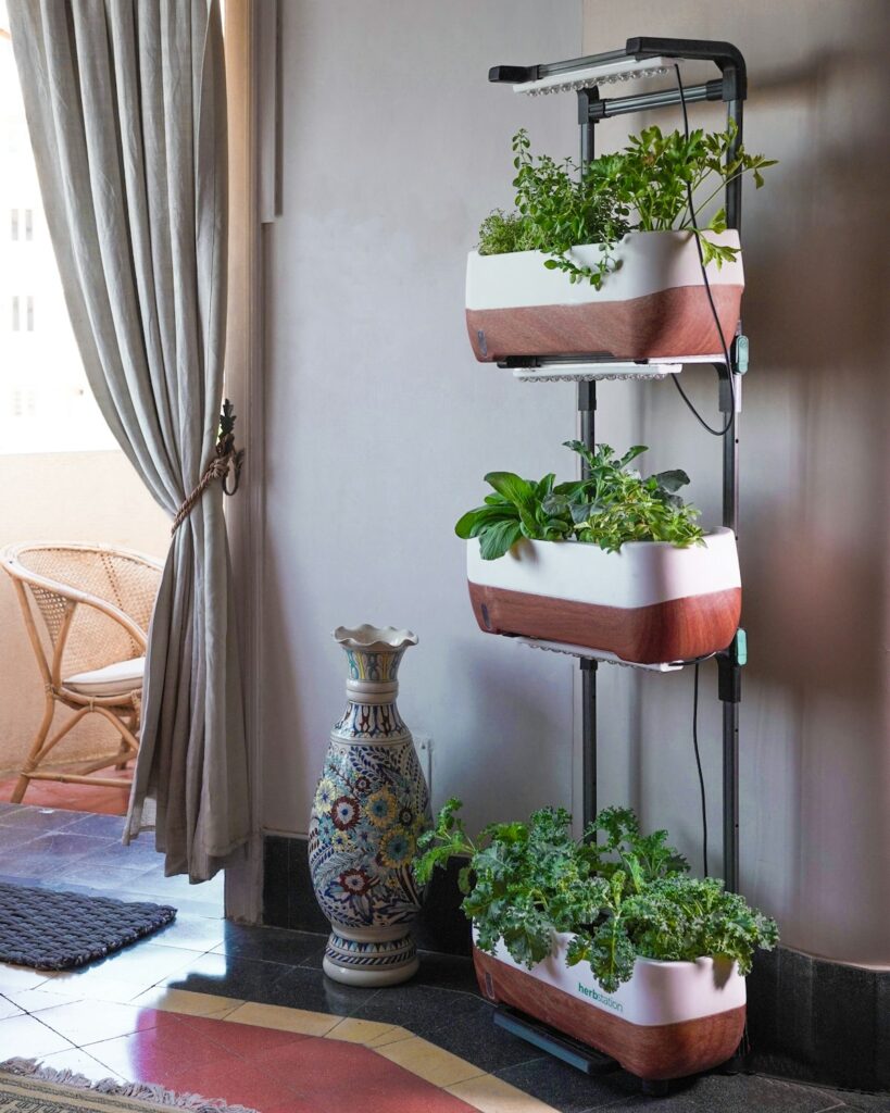 Two-Tier Hydroponic Grow Cabinet