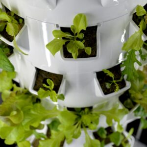 Vertical Hydroponic Tower, 9 Tiers