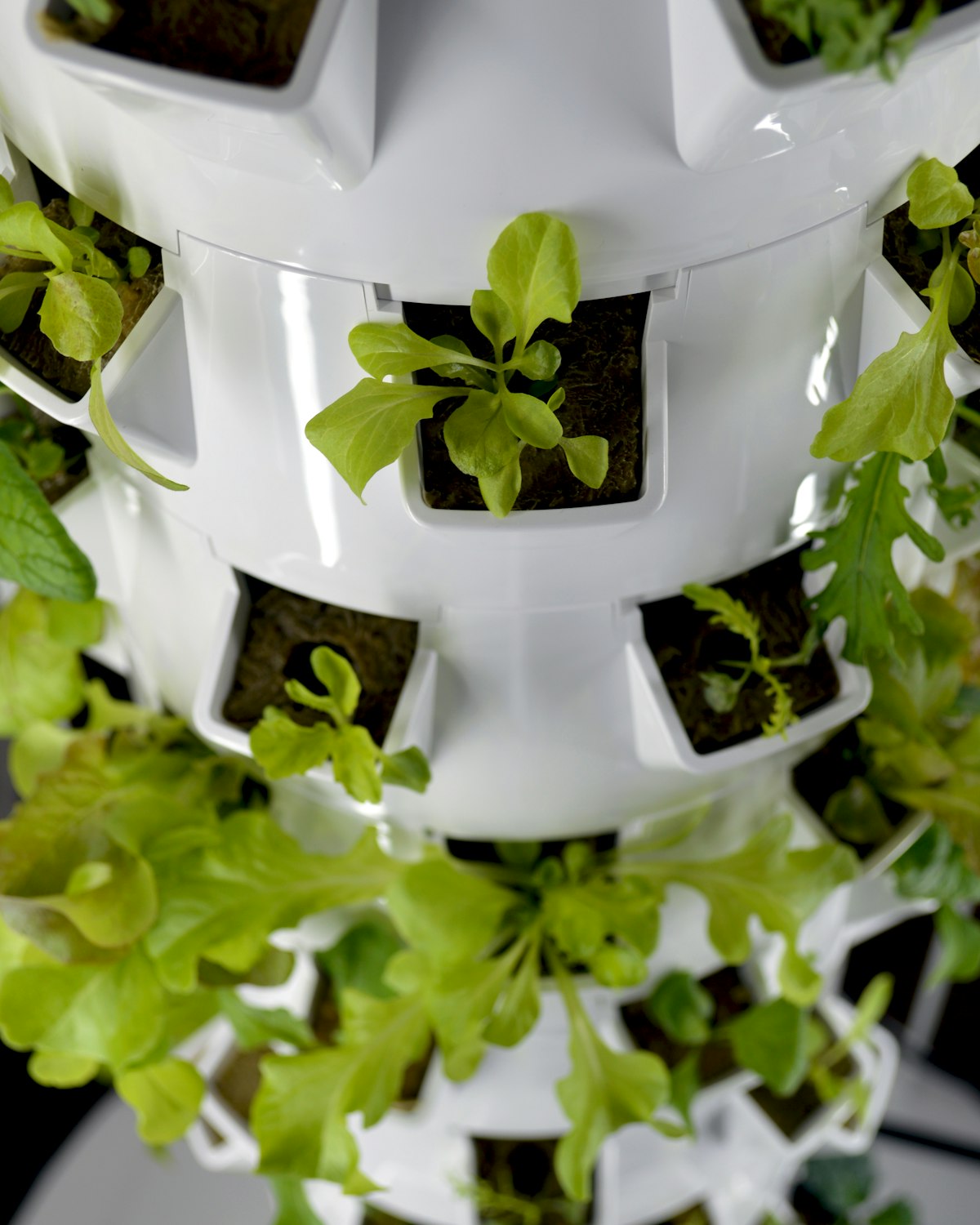 Vertical Hydroponic Tower, 9 Tiers