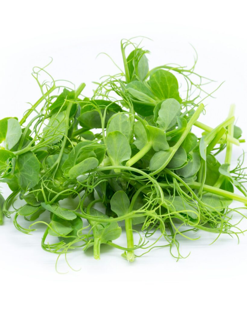 Pea Shoot Grow Kit