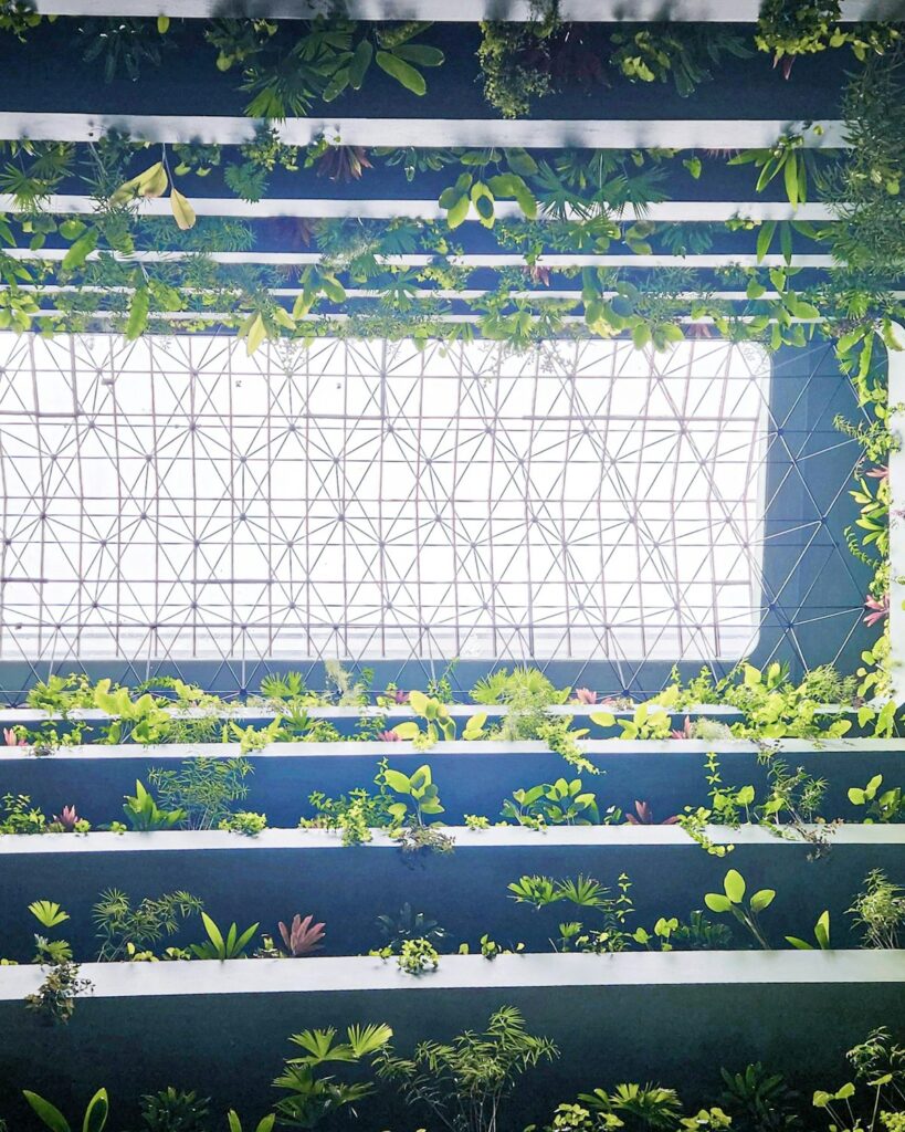 Commercial Sprout Germination Machine