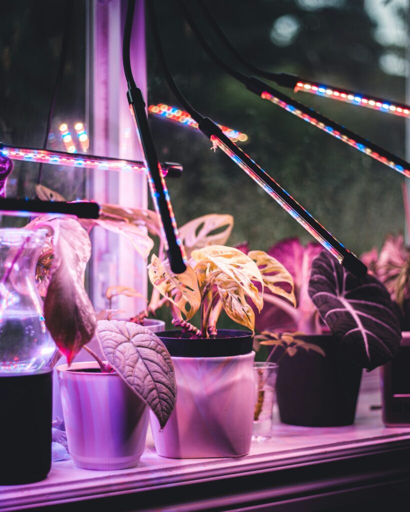 Indoor Grow Shelf with Lights