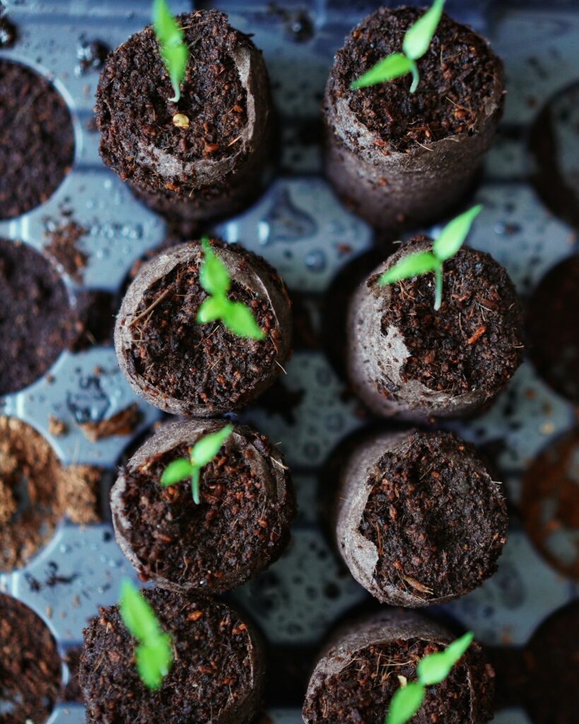 Multi-Cell Seedling Trays, Pack of 5