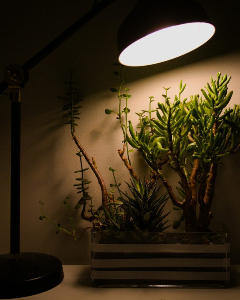USB Clip-On Grow Light