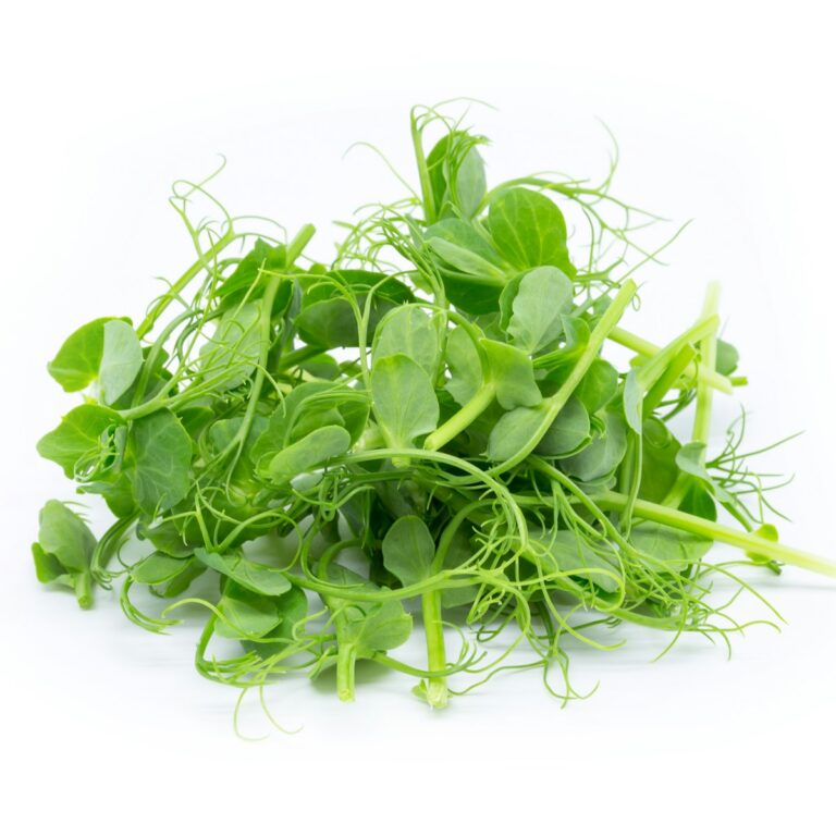 Pea shoots